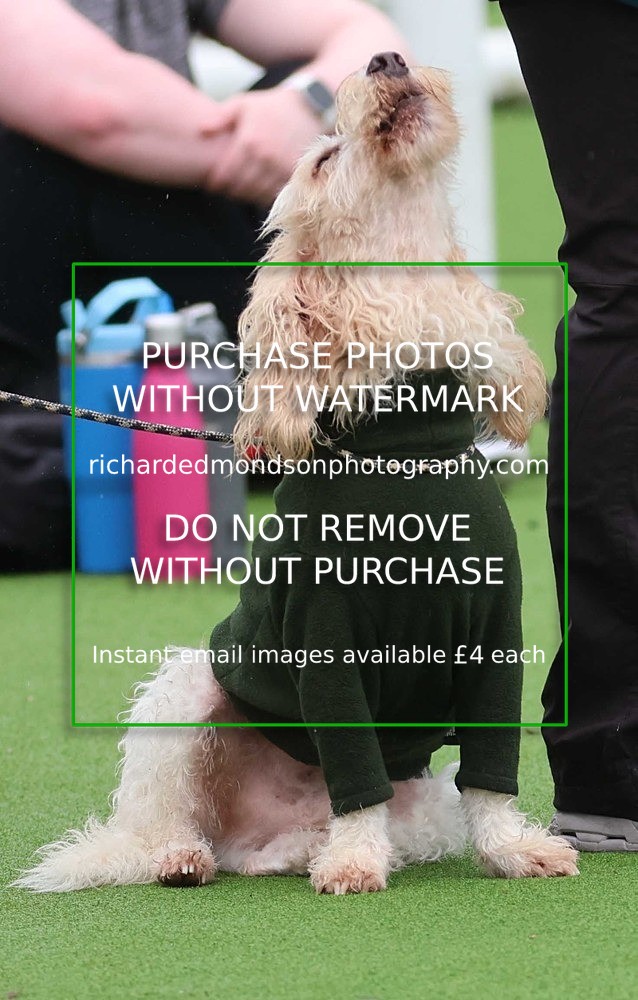 533A1400 - Ambleside Hockey vs Keswick Hockey (20/9/25)