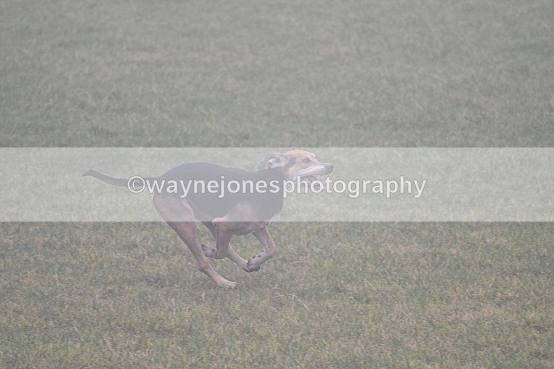 WJ7_3160 - A camera