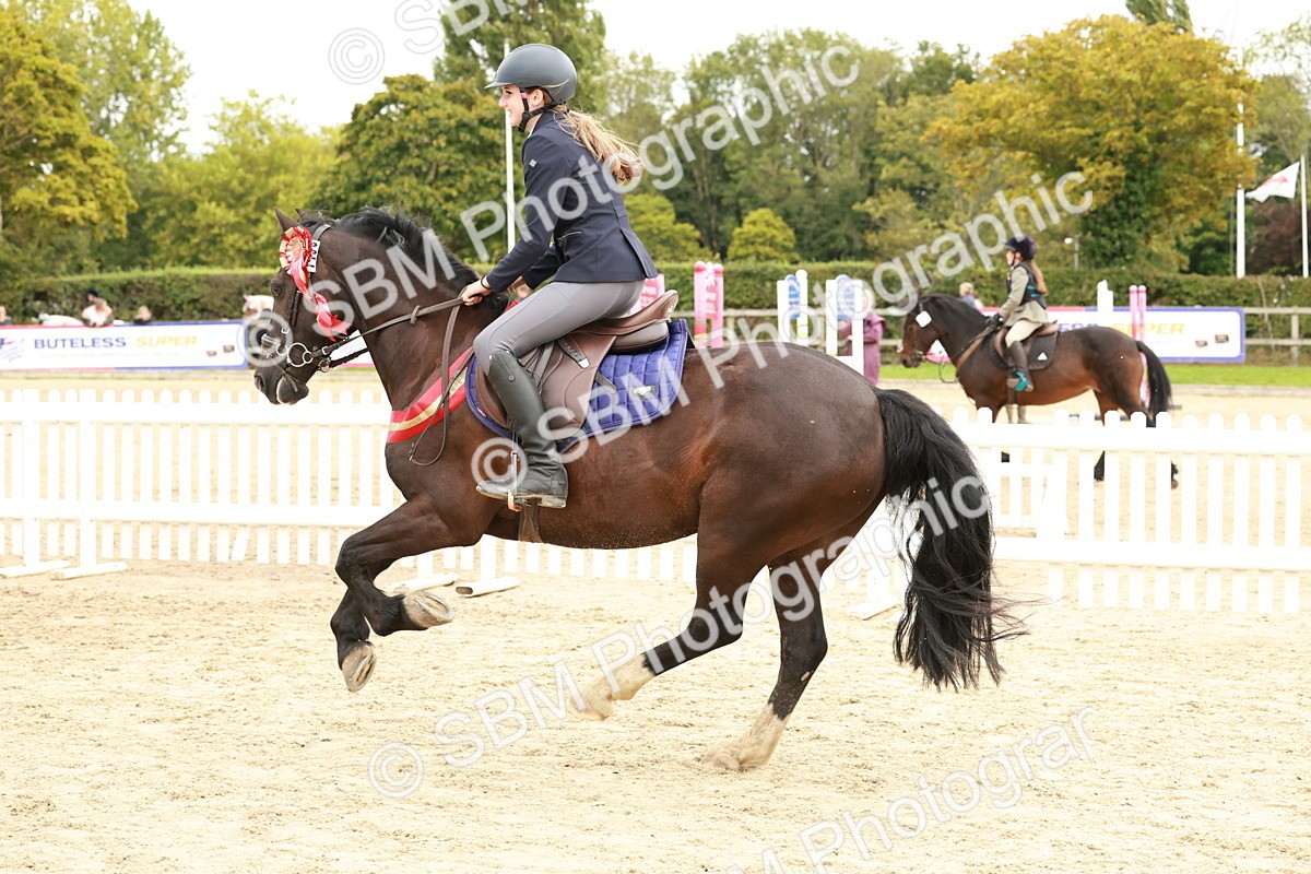 SBM_65352 - Supreme Championship 50cm & 55cm