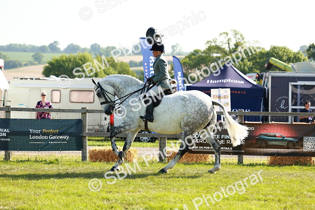 SBM_11784 - Class 66-69 - RIHS Ridden Hunters Inc Small Hunter