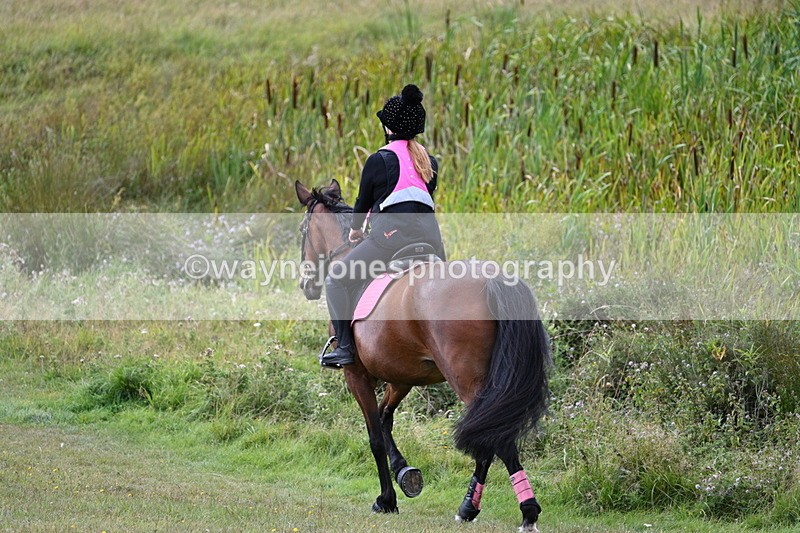 WJ7_6077 - Time 11:50 to 12:09