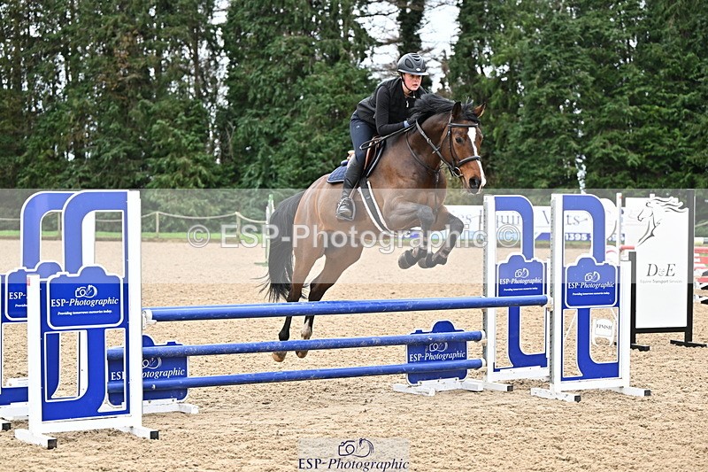 250201A-104404-00305 - Cls 01 Local Horse 90cm