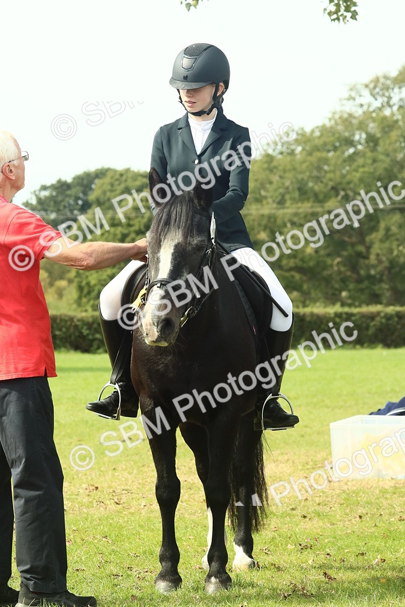 SBM_66771 - S34 - Rehabilitated Rescue Horse & Pony In Hand & Ridden