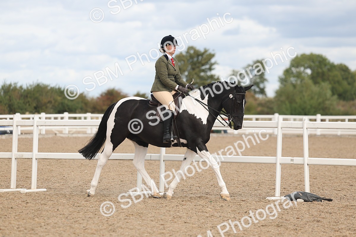 SBM_14715 - Class 308 - Ridden Coloured Horse