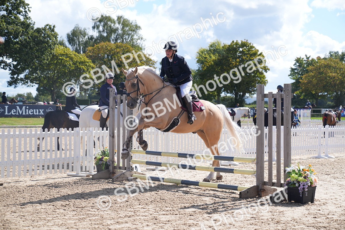 SBM_05083 - J35 Veteran 60cm Championship