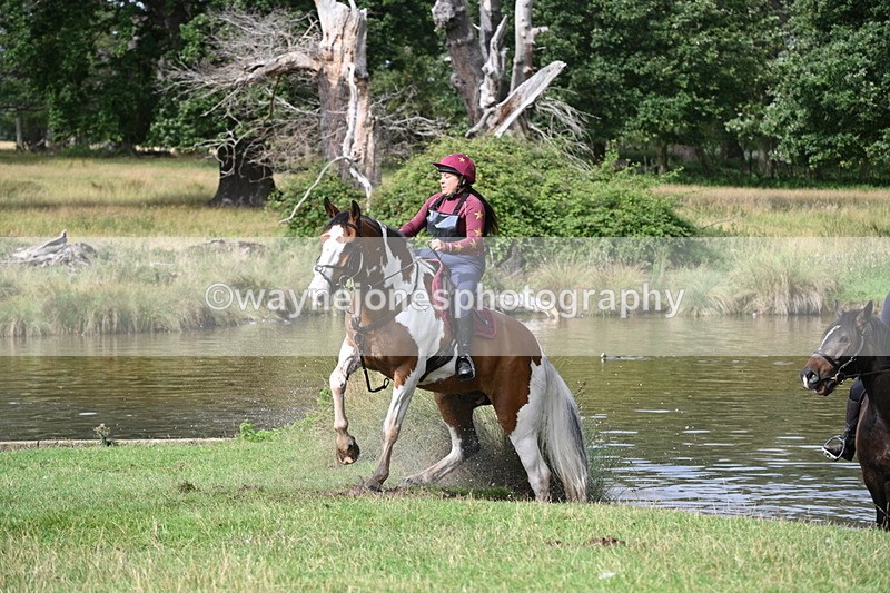 WJ7_1003 - Time at Water 10:09 to 10:47