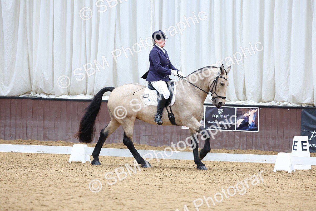 SBM_003879 - Elementary 1