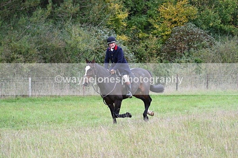 WJ7_3584 - Camera 1 Line 1