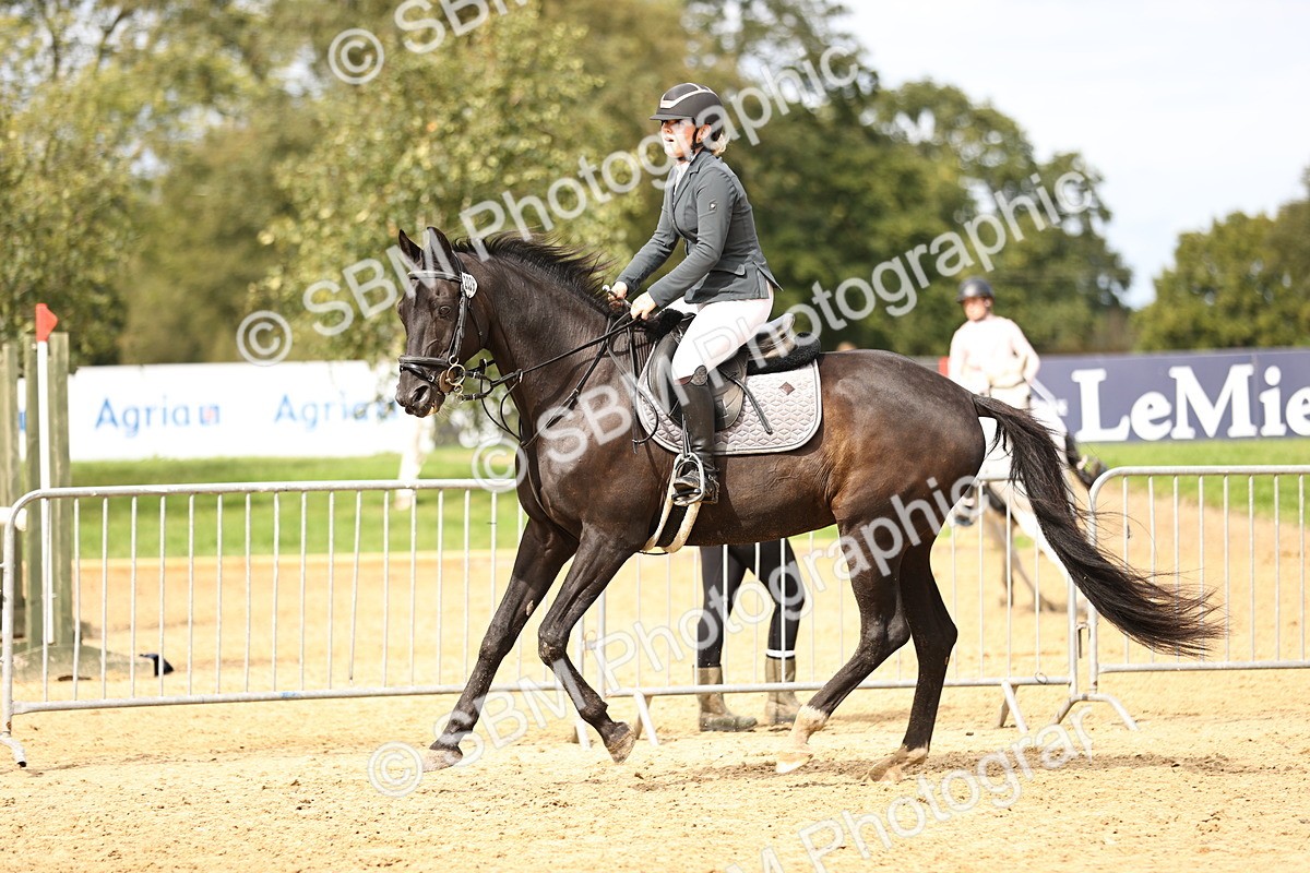 SBM_41045 - J40 Senior Horse & Pony 90cm Supreme Championship