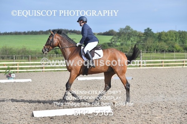 BPP_5565 - MY QUEST OPEN PRELIM TEST 1 + 2