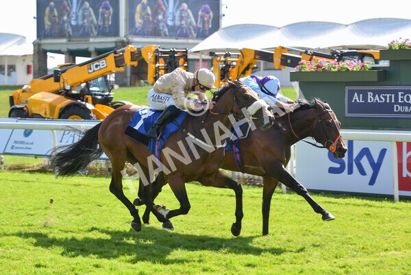 yr12062021r5-22 - Race 5 4.15pm Reg Griffin Appreciation EBFstallions.com Maiden Stakes