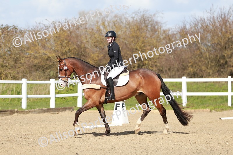 20260314-2905 - DR3 - Prelim 1