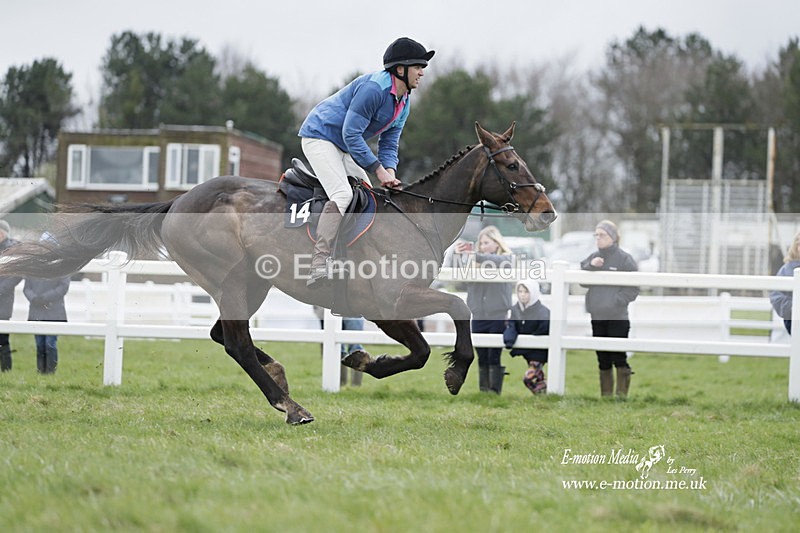 PtP 260323 0243 - New Forest Hounds Point-to-Point Larkhill 26/03/23
