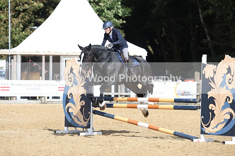 3E7A9483 - Class 9: Senior British Novice/90cm open