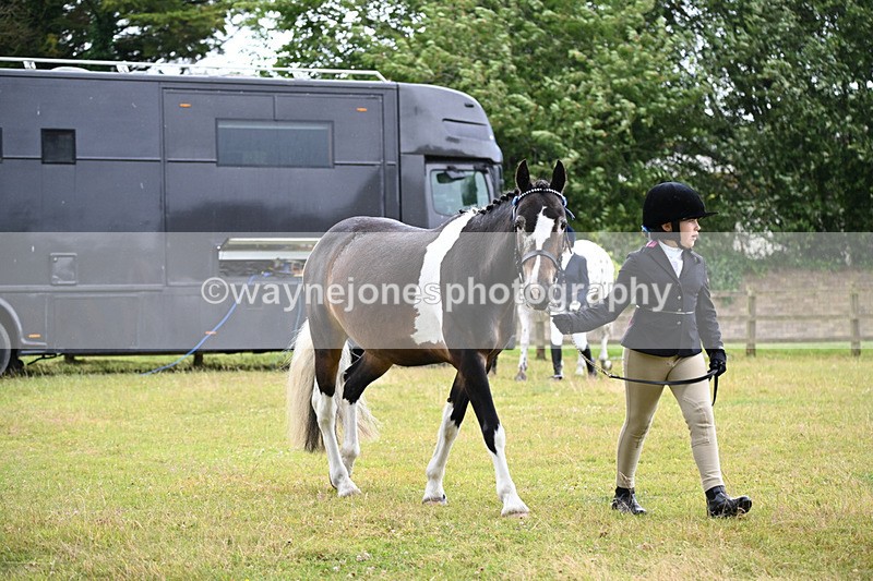 WJ6_8688 - Class 10 Coloured in-hand