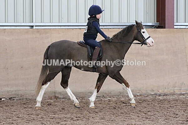 SIAL5842 - Neighfield Pony Show April 2025