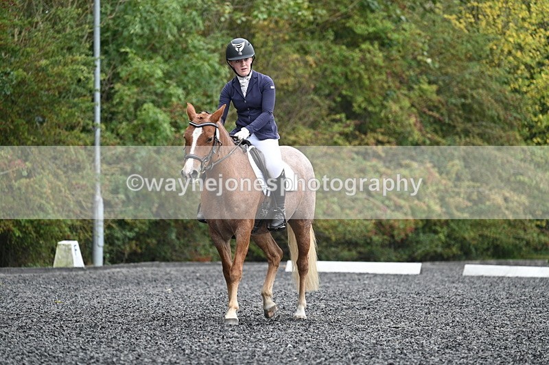 WJ7_3772 - Time 11:04 to 11:38