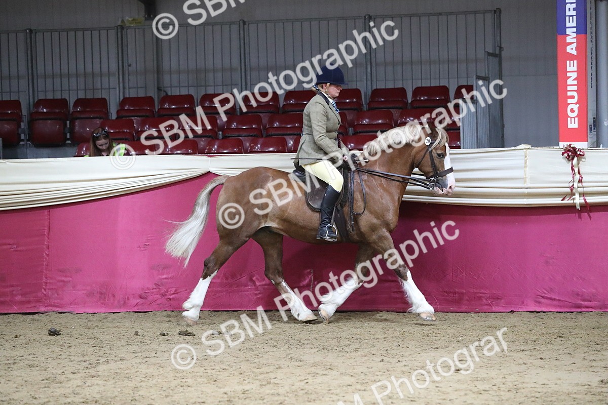 SBM_08500 - Class 11R Regional Ridden Veteran