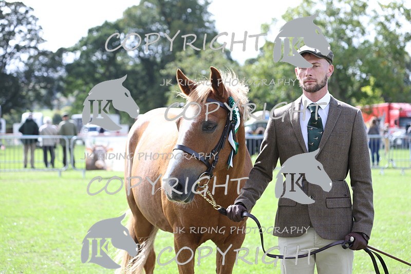 APP_2996 - Class 10a/b M&M in hand