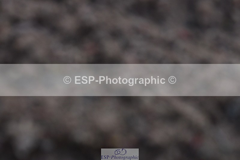 231104A-121017-00388 - Cls 7 Elementary 43