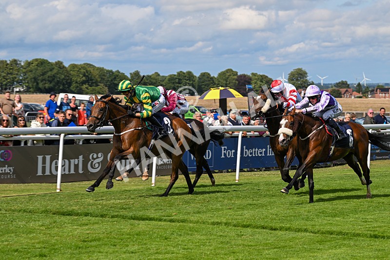 240625-Race 6-Quirke On Parole-9016 - Race 6