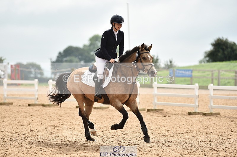 230902A-120838-00951 - Cls 2B Pony Small 80cm