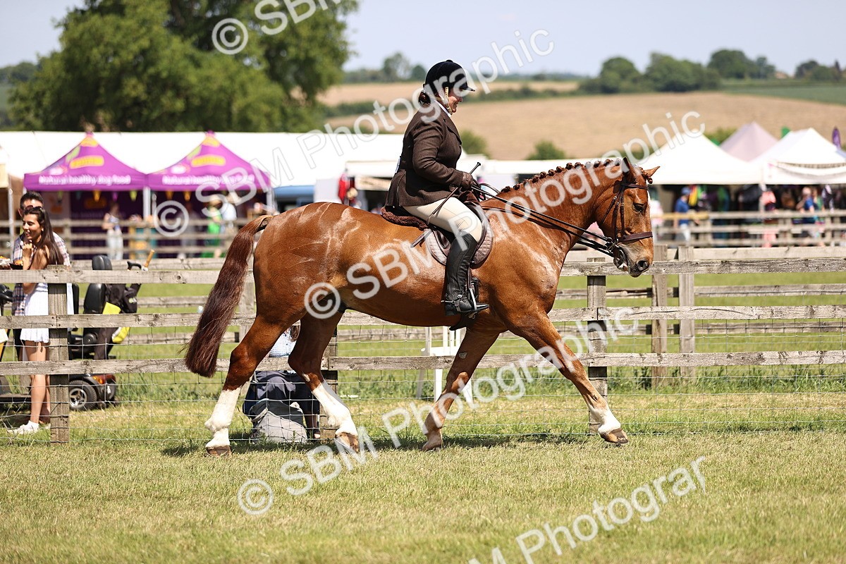 SBM_17694 - Class 81-83 - TSR Ridden Amateur of the Year - Horses