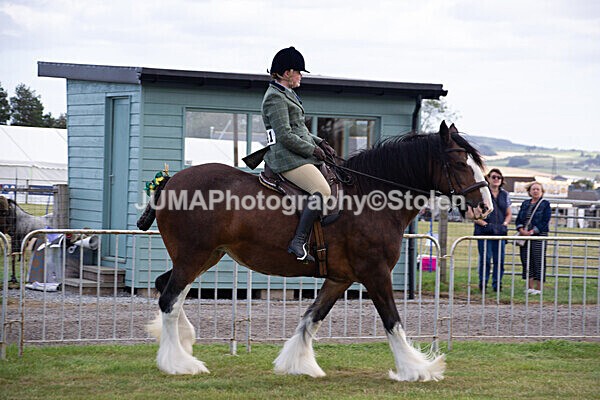 DSC_0222 - Ring 1