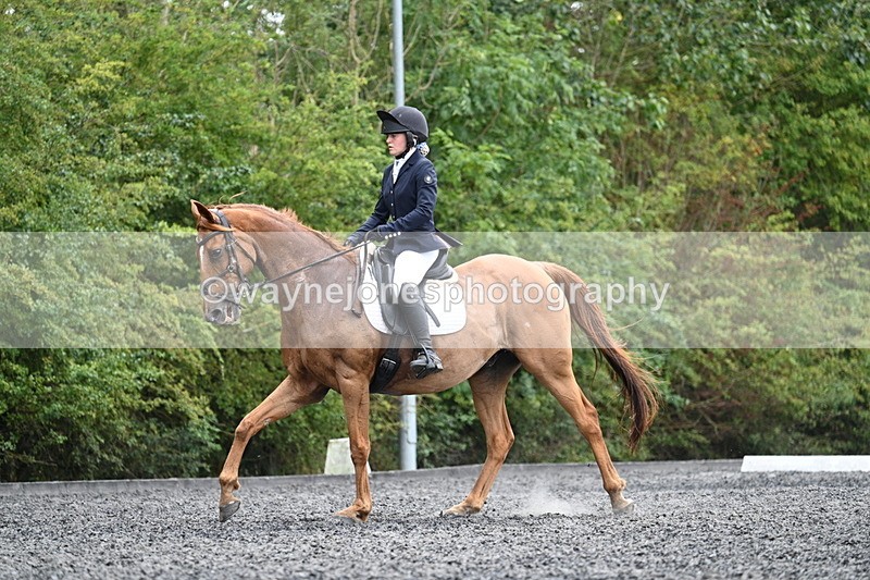 WJ7_7146 - Time 12:53 to 13:18