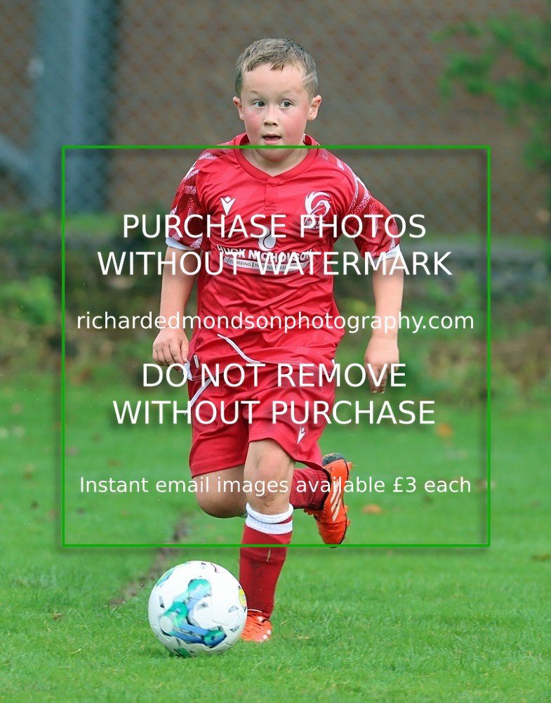 IMG_7108 - Ibis Under 8's (19/10/24)