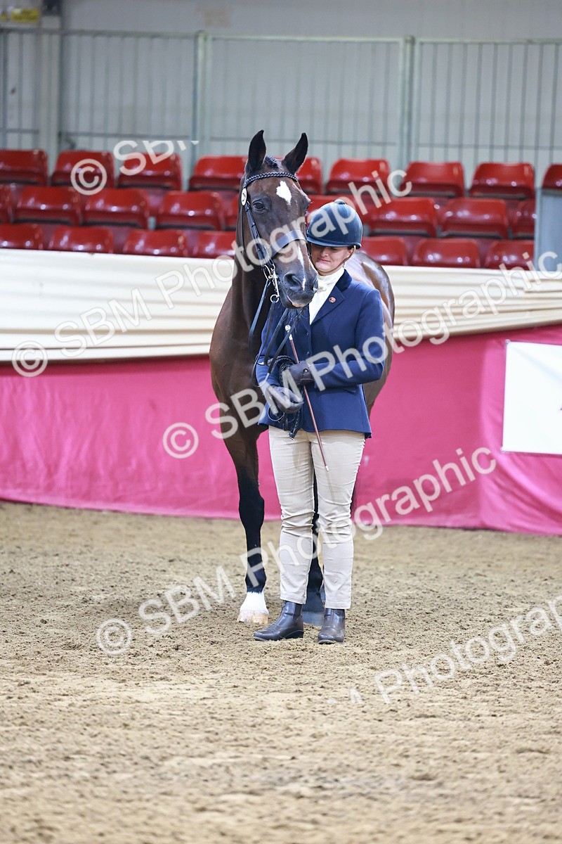 SBM_21803 - Class 901 - Supreme Final - IH  Diamond