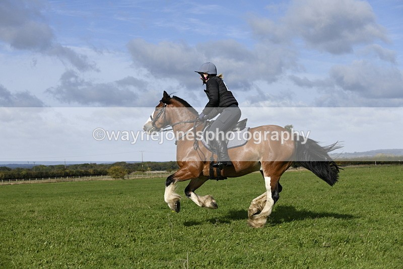 _DSC5698 - Time 10:49 to 11:23