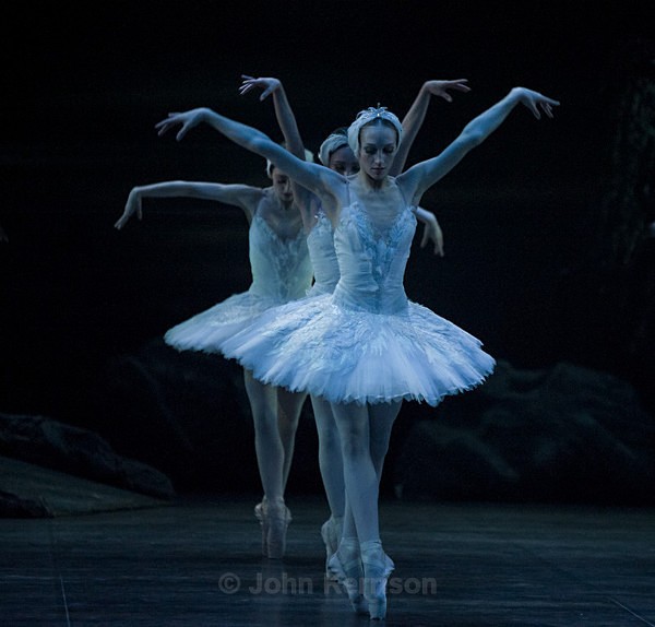  - Swan Lake