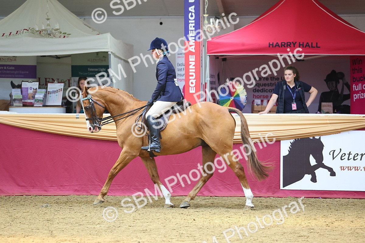 SBM_24141 - Class 905 - Supreme Final - Ridden Veteran