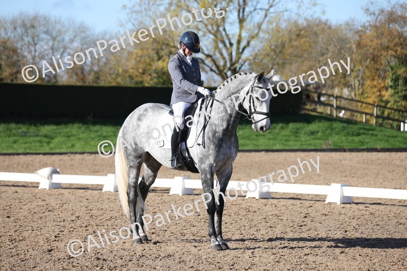 20251102-0787 - Class 5 - Elementary 5