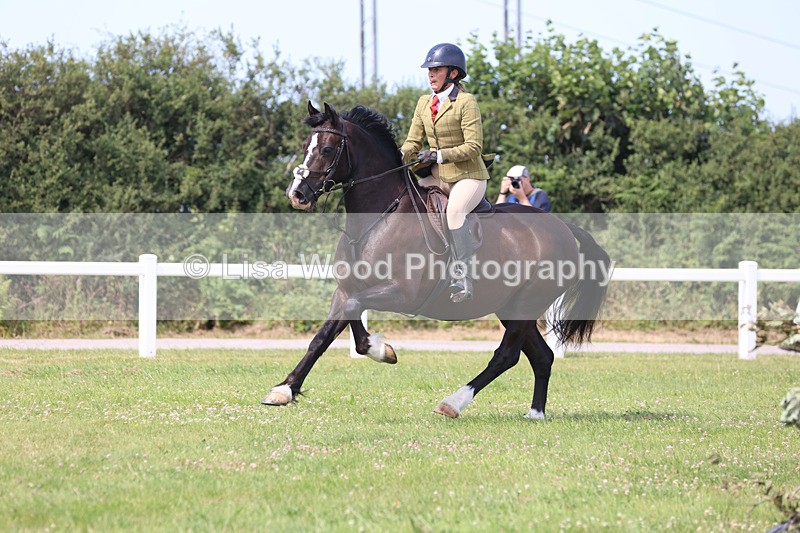 JPP_3562 - Class 23: Working Hunter 80cm