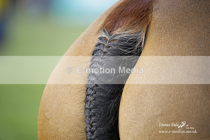 PtP 060322 296 - Blackmore & Sparkford Vale Hunt PtP 06/03/22