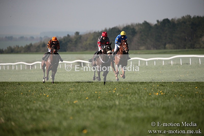 PtP 210418 518 - South & West Wilts Point-to-Point Larkhill 21/04/18
