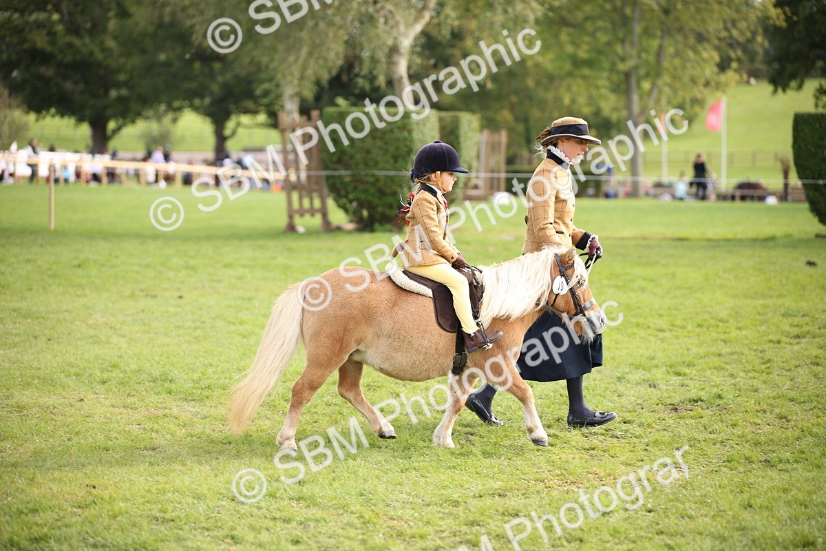 SBM_50150 - S26 - Young Veteran - Ridden