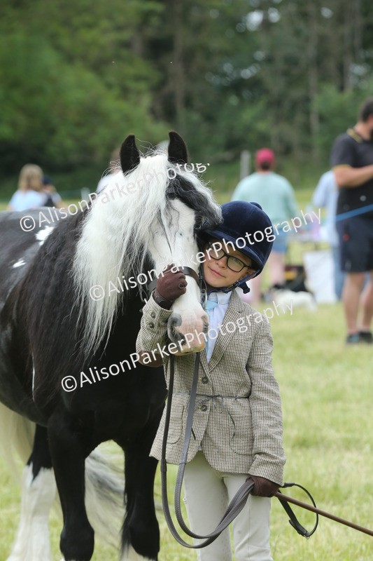 20260614-4309 - Class 18 - Best Junior Handler