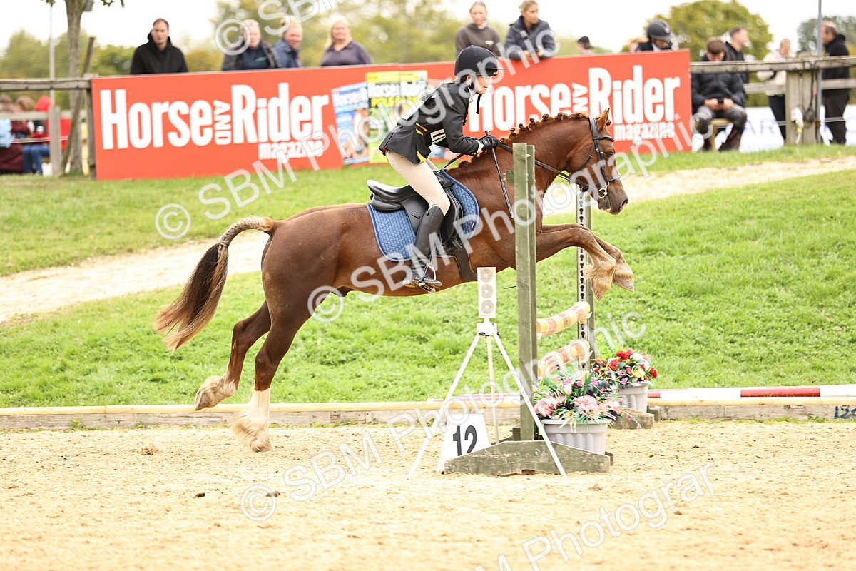 SBM_66453 - J17 - Junior Pony 80cm Championship