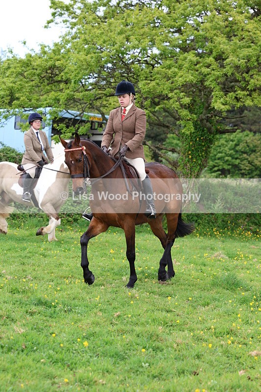 3E7A1472 - Class 8: Ridden Veteran Junoir and Senior