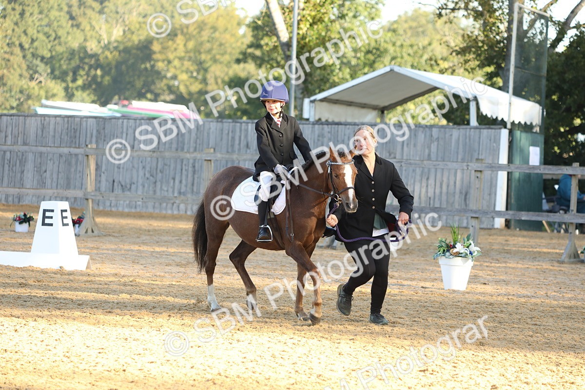 SBM_33650 - D26 - Starers - Lead Rein