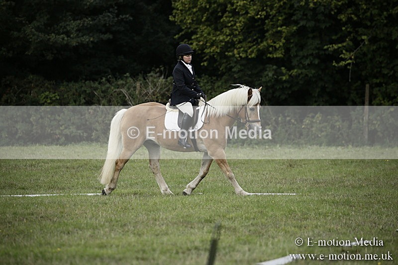 BVR090918 56 - BVRC Dressage and Show Jumping 09/09/18