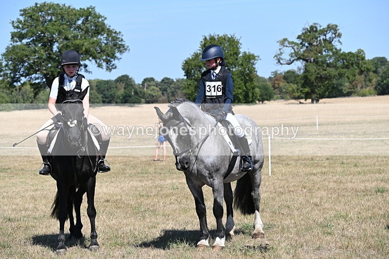 WJ6_8398 - Class 37a Best Loan Pony Ridden
