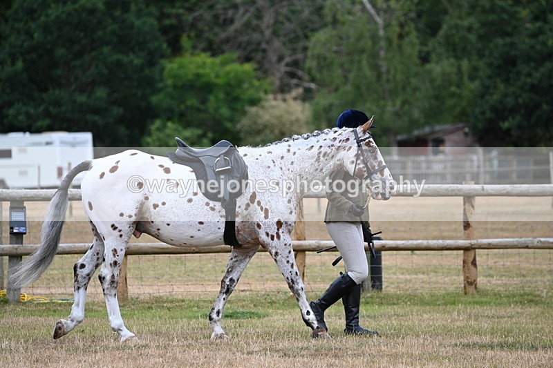 WJ6_3715 - Class 9 Tack & Turnout