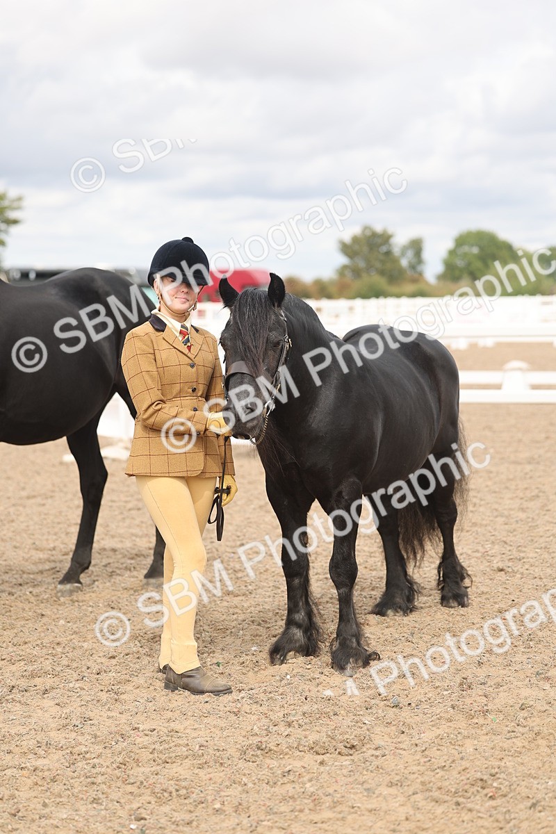 SBM_05005 - Class 20 - IH Veteran