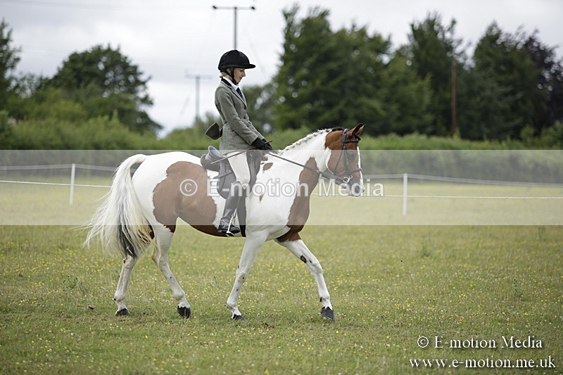 BVR160717-1876 - Ring 1 BVRC Show 16/07/17