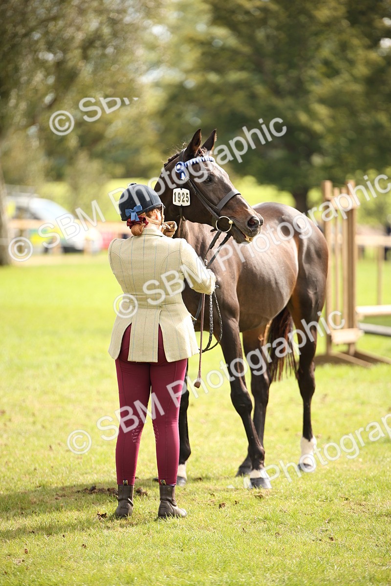 SBM_46391 - S25 - Mature Veteran In Hand