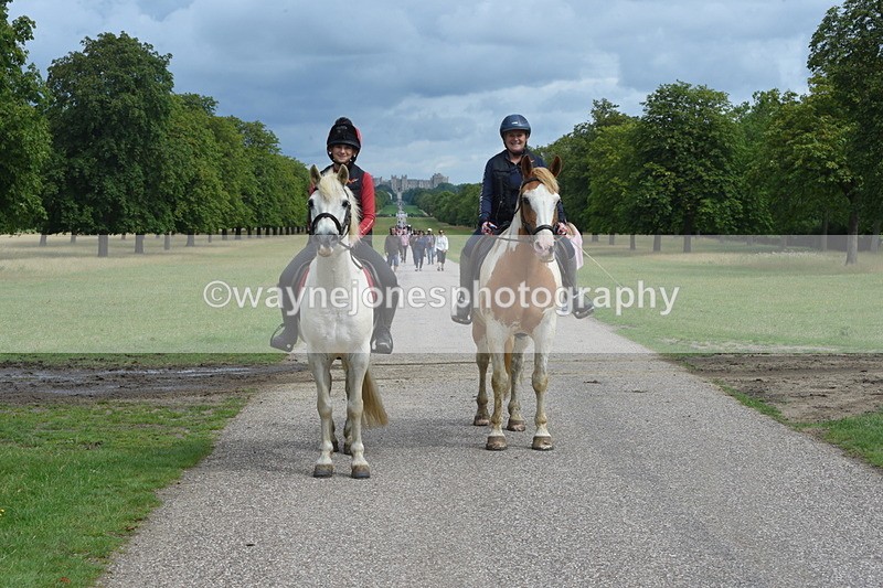 TT3_9165 - Time at Crossing 09:22 to 11:26